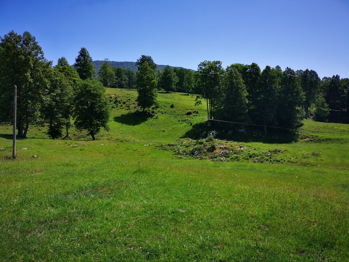 Primer uspešne rekultivacije zaraščenega območja na Kočevskem. Foto: Klemen Eler