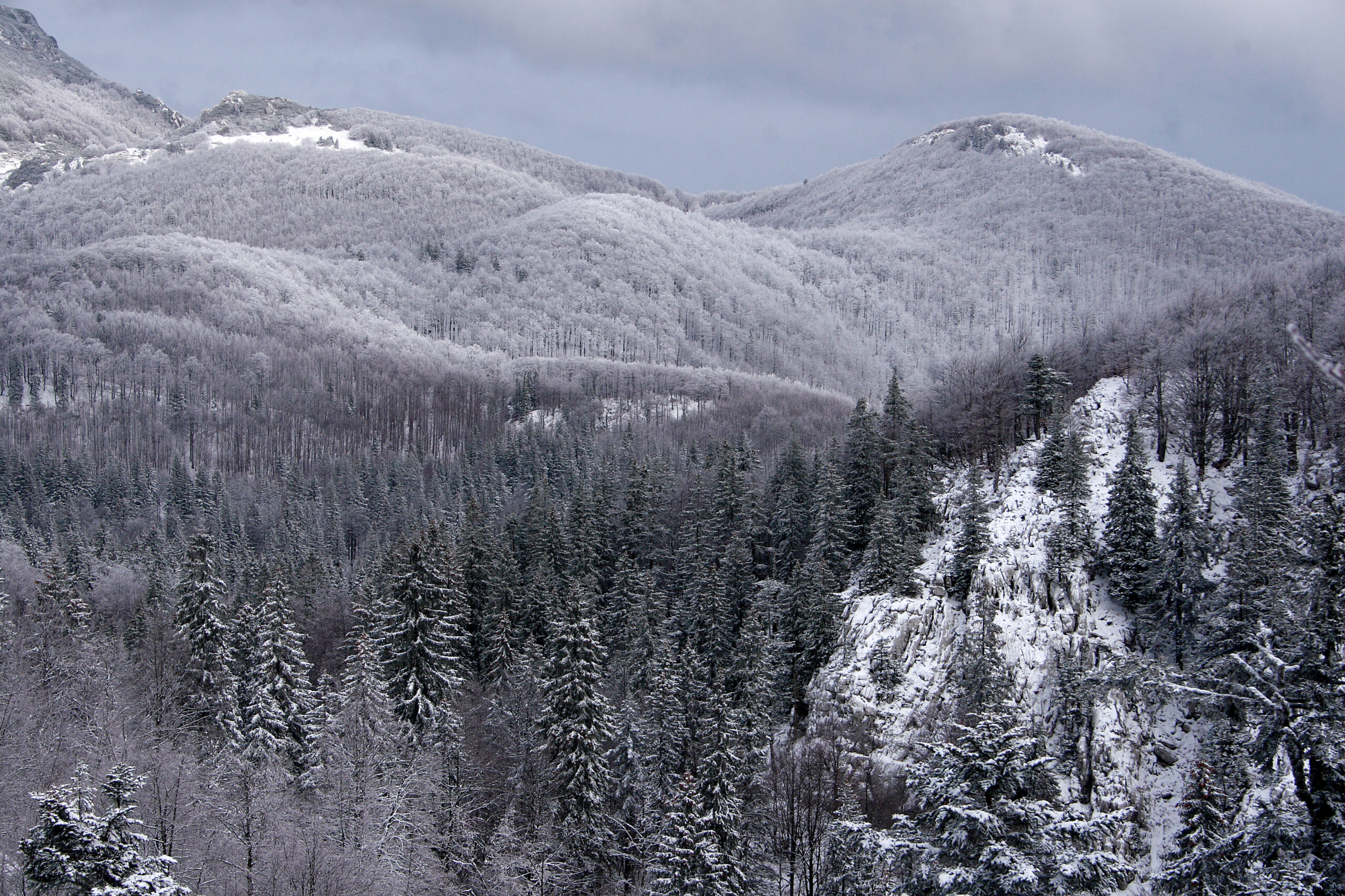 Zasneženi Dinaridi. Foto: Miha Krofel