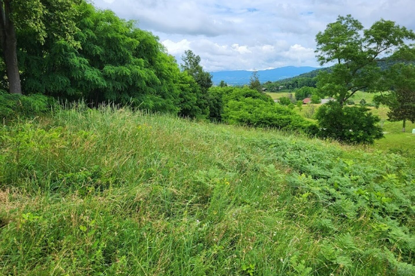 Adlešiči. Foto: Klemen Eler